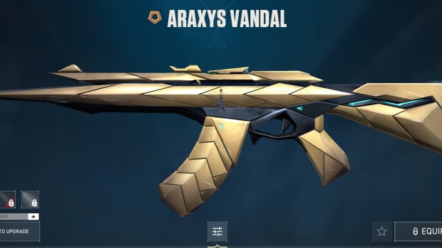 araxys vandal skin valorant
